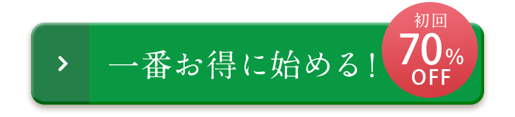 一番お得に始める！