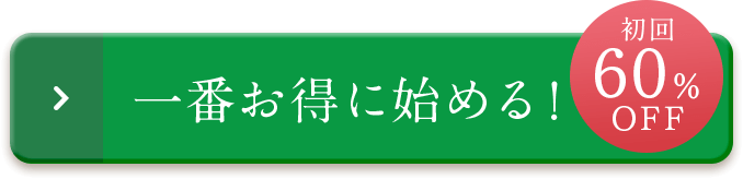 一番お得に始める！