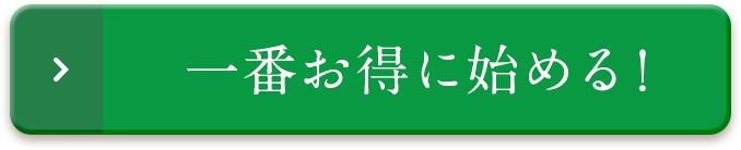 一番お得に始める！