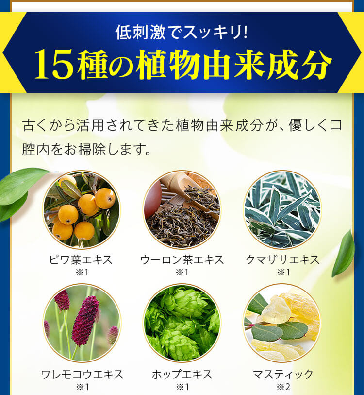 古くから活用されてきた植物由来成分が、優しく口腔内をお掃除します。