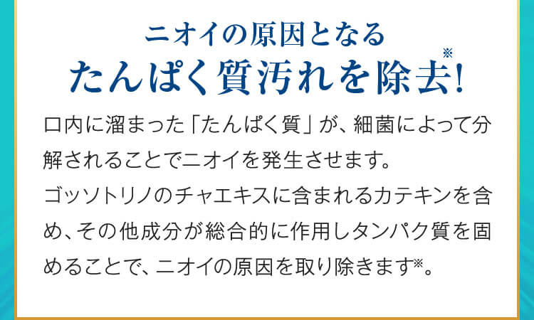 ニオイの原因となるたんぱく質汚れを除去!