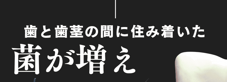 菌が増え