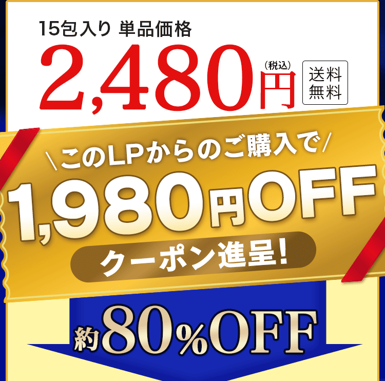 クーポン進呈80％OFF