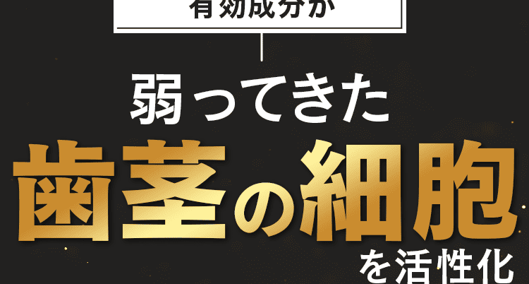 弱ってきた歯茎活性化