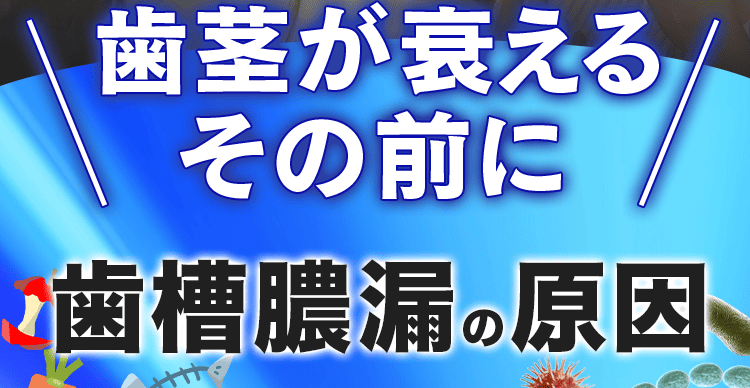 歯茎が衰える前に