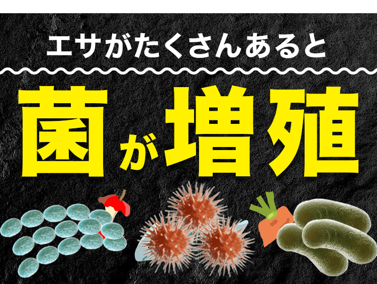 菌が増殖