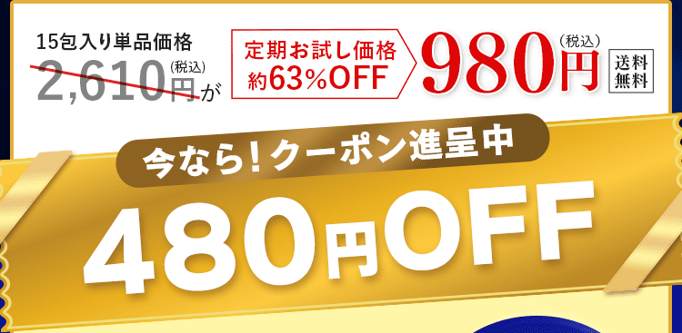 クーポン進呈80％OFF