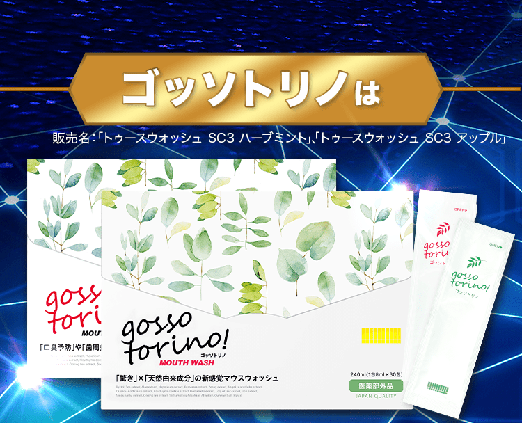 ゴッソトリノは