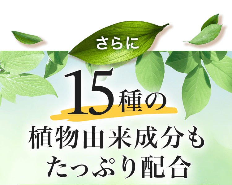 15種類も配合