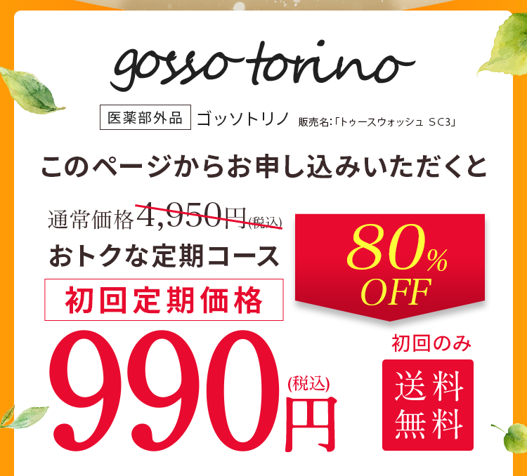 gosso torino-ゴッソトリノ-