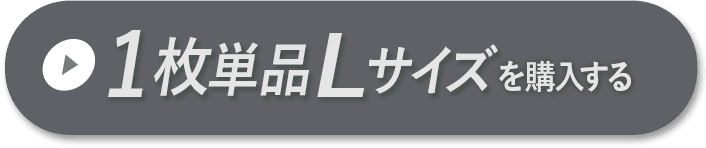 1枚セットLサイズ