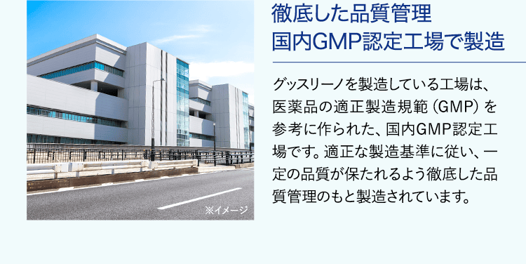 GMP工場