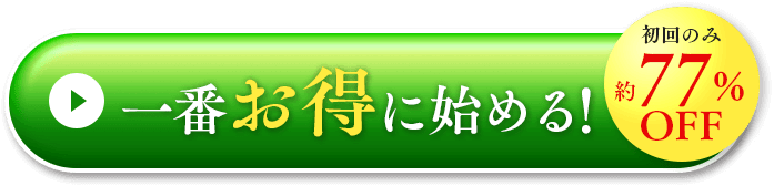 一番お得に始める