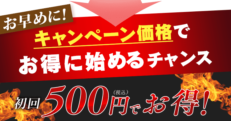 キャンペーン価格で始めるチャンス
