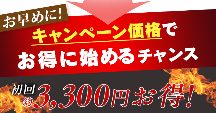 キャンペーン価格で始めるチャンス