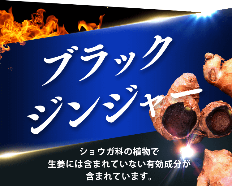 腹部の脂肪を減少する機能が報告されています