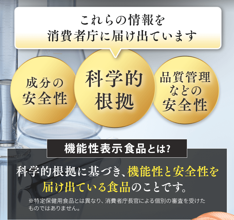 消費者庁に届けています