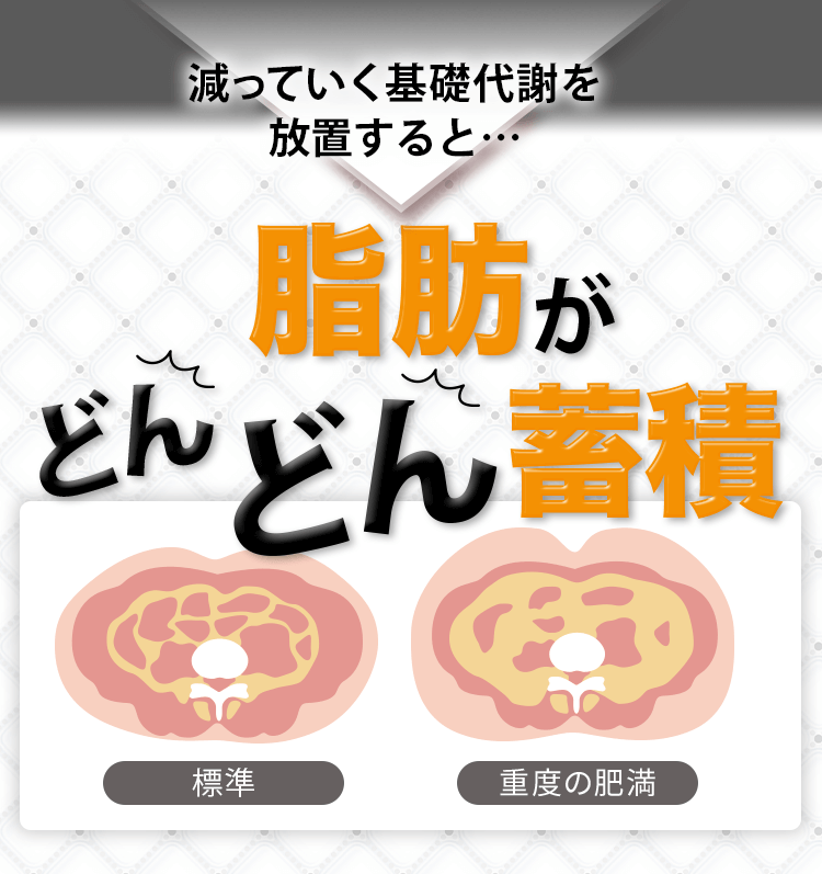 脂肪がどんどん