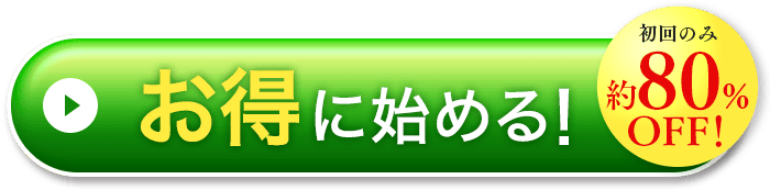 一番お得に始める