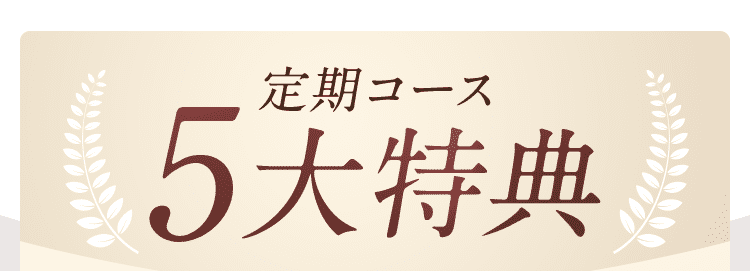 5大特典