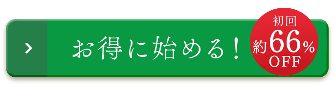 お得に始める！