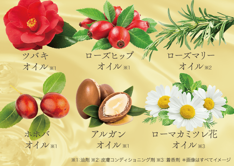 6種の高級オイル
