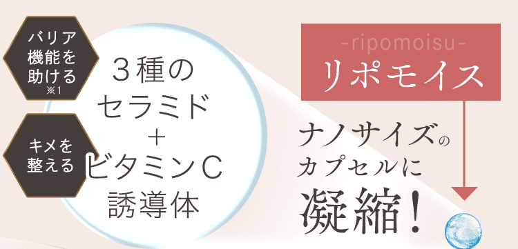 リポモイス
