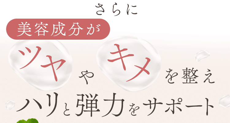 ハリと弾力をサポート