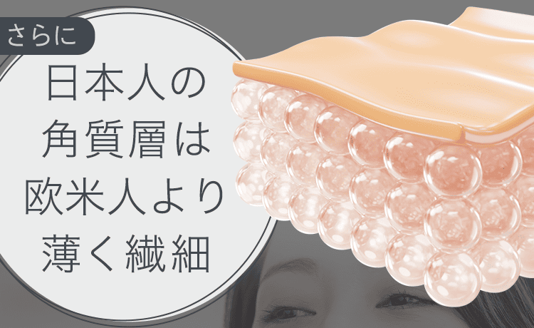 日本人の角質層は繊細
