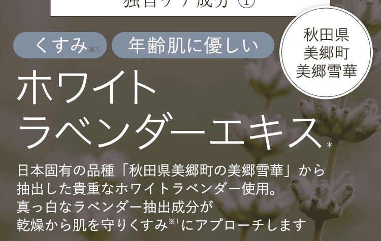 ホワイトラベンダー