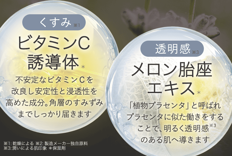 ビタミンC、メロン