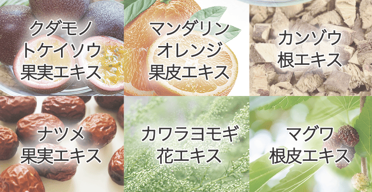 成分6種
