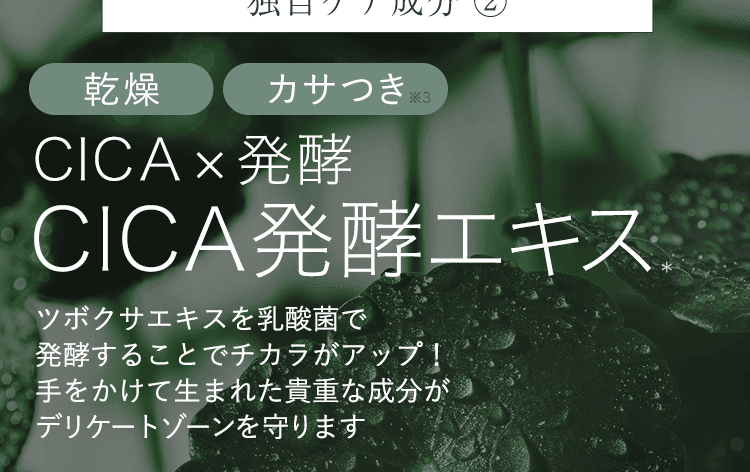 CICA