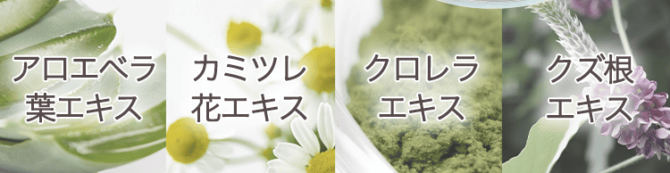 成分4種