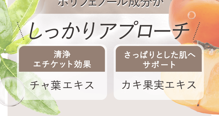 アプローチ