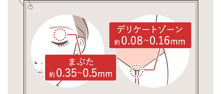 皮膚の薄さ