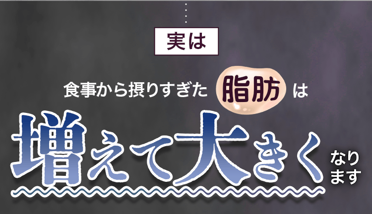 脂肪は増えて大きくなります