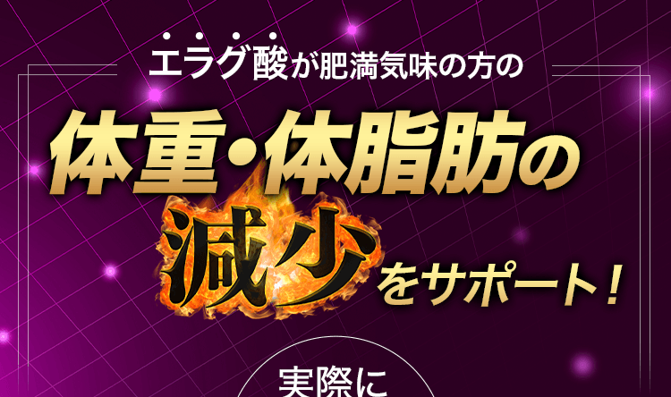 体重・体脂肪の減少をサポート