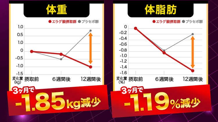 体重・体脂肪グラフ