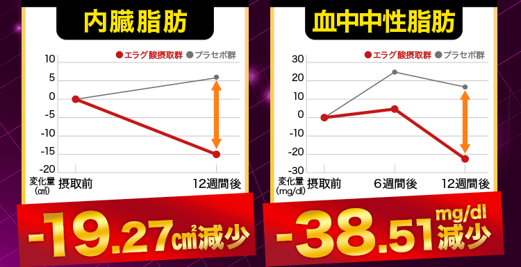 内臓脂肪・血中中性脂肪グラフ