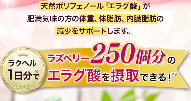 ラズベリー250個分