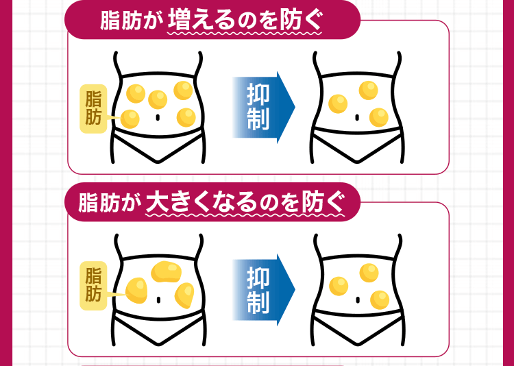 脂肪抑制図