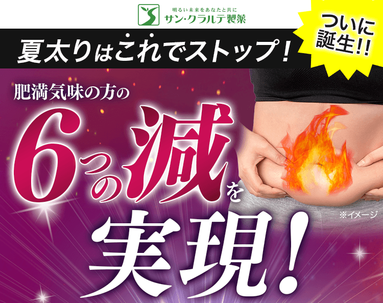 6つの減を実現
