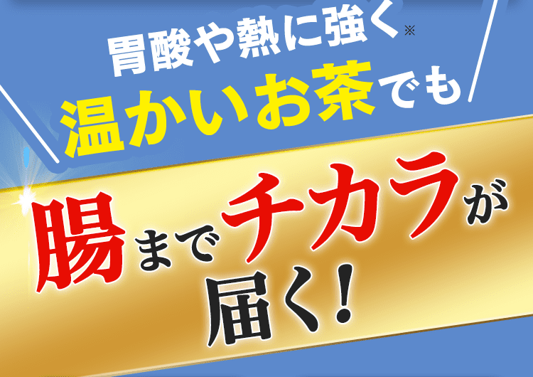 腸までチカラが届く