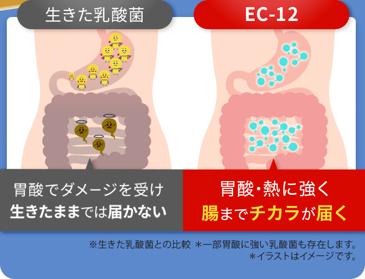 腸まで届く