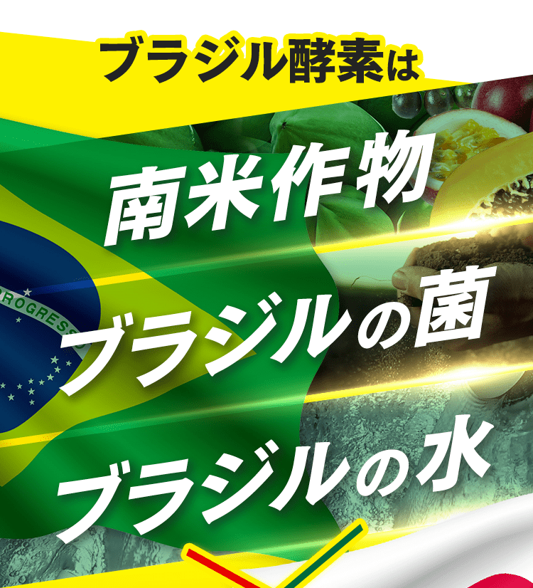 ブラジル酵素は