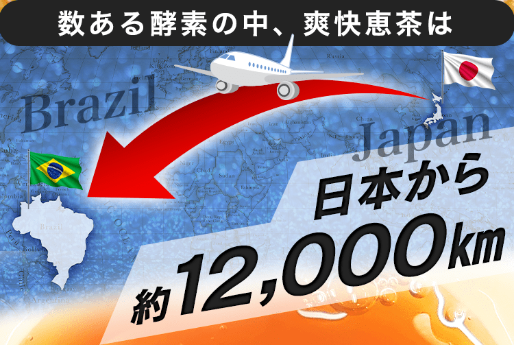 日本から12000km