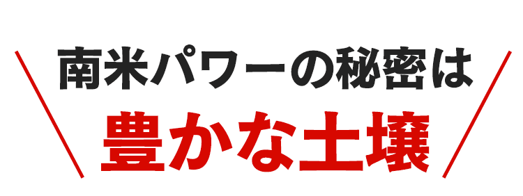 パワーの秘密は土壌