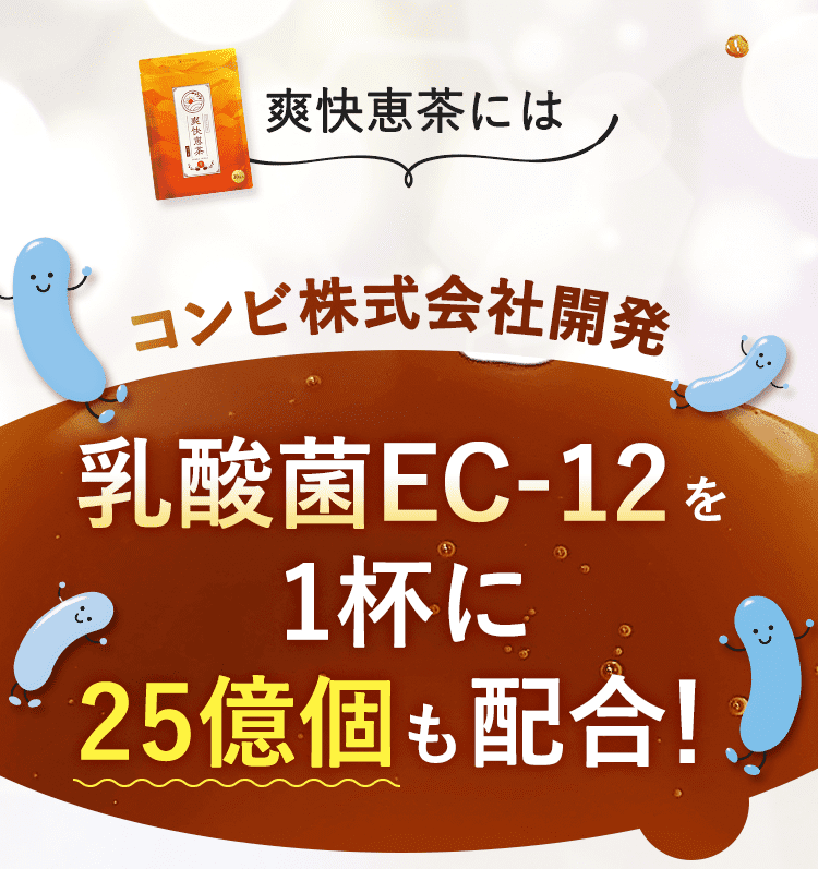 乳酸菌EC-12