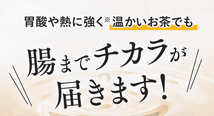 腸までチカラが届く